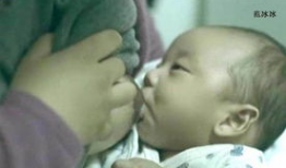 哺乳视频,捕捉哺乳动物温馨育儿瞬间